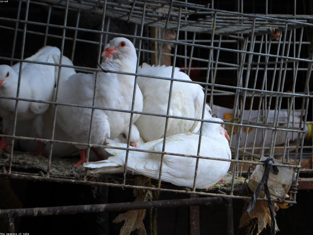 សុវត្ថិភាពក្នុងការទូទាត់