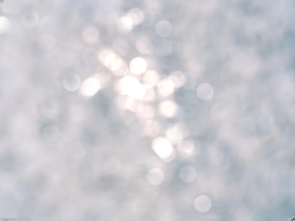 វិធីប្រើប្រាស់ឧបករណ៍កម្មវិធីយ៉ាងមានប្រសិទ្ធភាព