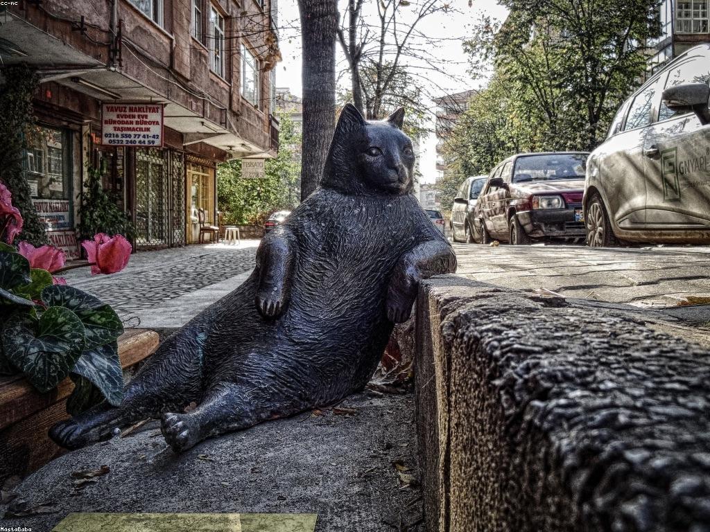 សមាជិកភាព និងការផ្តល់ជូន: ការបង្កើនកំណើនអាជីវកម្ម