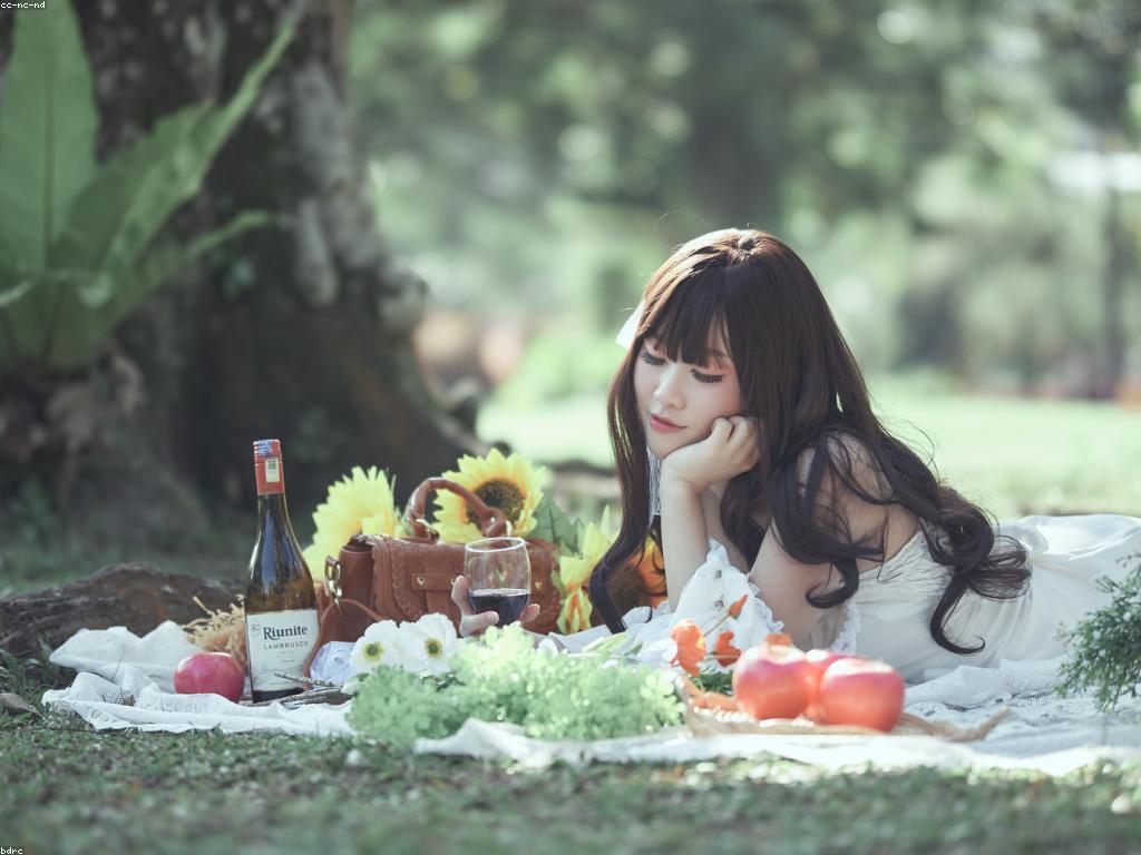 វិធីប្រើប្រាស់កម្មវិធី